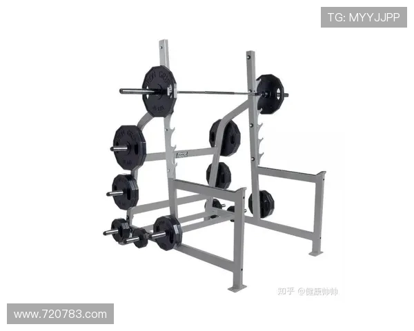 高效健身指南健身房常见器械使用规范与训练方案