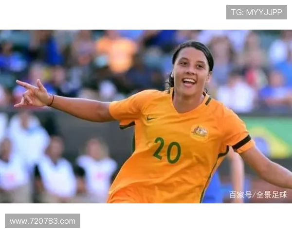 法甲外援综合影响评估与价值体现全景分析